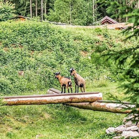 Dom wakacyjny Peaceful In Jaegersgruen