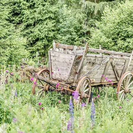 Peaceful In Jaegersgruen Bad Reiboldsgrün