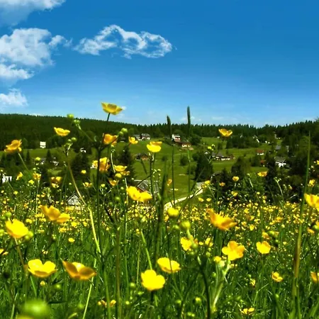 Peaceful In Jaegersgruen Dom wakacyjny Bad Reiboldsgrün