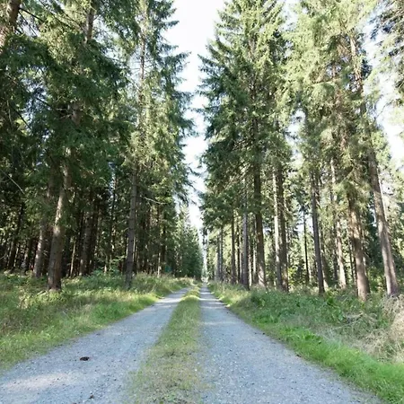 Peaceful In Jaegersgruen *