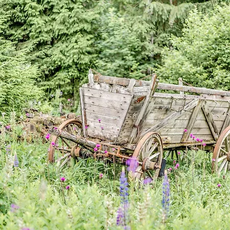 Dom wakacyjny Peaceful In Jaegersgruen